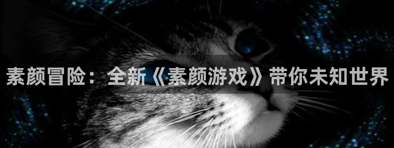 星欧娱乐进.星欧娱乐.信用稳定.长久.中国：素颜冒险：全新《